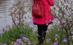 忘忧草官网在线播放